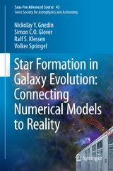 Star Formation in Galaxy Evolution: Connecting Numerical Models to Reality - Nickolay Y. Gnedin, Simon C. O. Glover, Ralf S. Klessen, Volker Springel