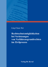 Rechtsschutzmöglichkeiten bei Verletzungen von Verfahrensgrundrechten im Zivilprozess - Ling-Chuan Wei