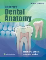 Woelfels Dental Anatomy - Scheid, Rickne C.; Weiss, Gabriela