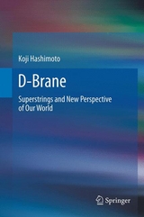 D-Brane -  Koji Hashimoto