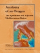 Anatomy of an Orogen: The Apennines and Adjacent Mediterranean Basins - I. Peter Martini;  F. Vai