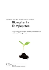 Biomethan im Energiesystem. - Elisa Dunkelberg, Steven Salecki, Julika Weiß, Stefan Rothe, Georg Böning