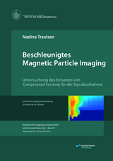 Beschleunigtes Magnetic Particle Imaging - Nadine Traulsen