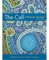 The Cell. International Edition - Cooper, Geoffrey M.; Hausman, Robert E.