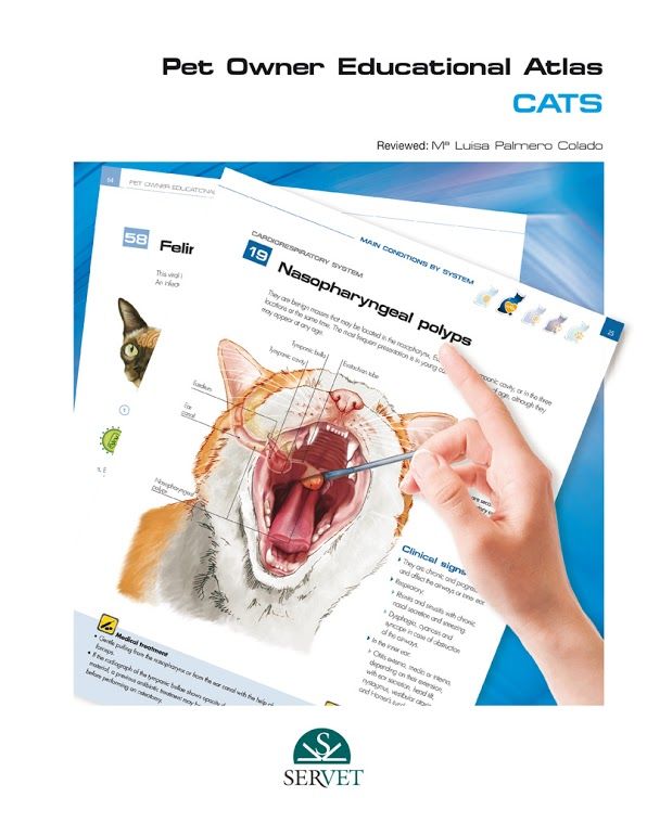 Pet Owner Educational Atlas. Cats - 