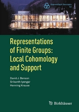 Representations of Finite Groups: Local Cohomology and Support - David J. Benson, Srikanth Iyengar, Henning Krause