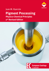 Pigment Processing - Juan M. Oyarzúm