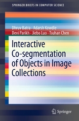 Interactive Co-segmentation of Objects in Image Collections -  Dhruv Batra,  Tsuhan Chen,  Adarsh Kowdle,  Jiebo Luo,  Devi Parikh