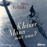 Kleiner Mann - was nun? - Hans Fallada