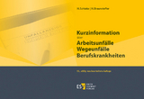 Kurzinformation über Arbeitsunfälle Wegeunfälle Berufskrankheiten - Braunsteffer, Heike; Schieke, Heinz