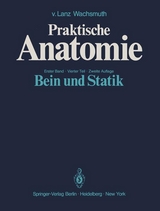 Bein und Statik - Johannes Lang, W. Wachsmuth
