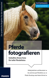 Foto Praxis Pferde fotografieren - Regine Heuser
