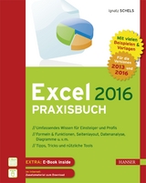 Excel 2016 Praxisbuch - Schels, Ignatz
