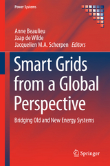 Smart Grids from a Global Perspective - 
