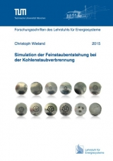 Simulation der Feinstaubentstehung bei der Kohlenstaubverbrennung - Christoph Wieland