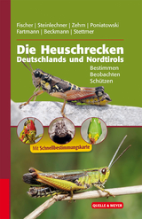 Die Heuschrecken Deutschlands und Nordtirols - Jürgen Fischer, Daniela Steinlechner, Andreas Zehm, Dominik Poniatowski, Thomas Fartmann, Armin Beckmann, Christian Stettmer