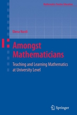 Amongst Mathematicians -  Elena Nardi