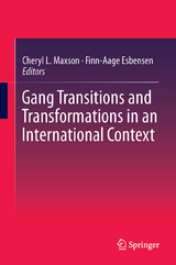 Gang Transitions and Transformations in an International Context - 