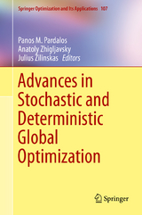 Advances in Stochastic and Deterministic Global Optimization - 