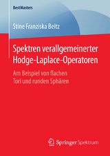 Spektren verallgemeinerter Hodge-Laplace-Operatoren - Stine Franziska Beitz