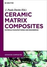 Ceramic Matrix Composites - 