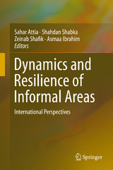 Dynamics and Resilience of Informal Areas - 