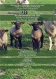 Die Lebensmittelkette beim Schaf: Transfer von Zoonoseerregern vom Tier zum Lebensmittel - Iman Sharief