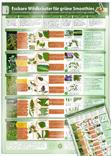 Essbare Wildkräuter für Grüne Smoothies - Erkennungskarte Teil 2 (2024) - Alfred Zenz (Der Seelengärtner), Samuel Cremer,  www.futurepacemedia.de