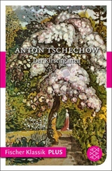 Der Kirschgarten - Anton Tschechow