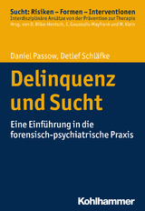 Delinquenz und Sucht - Daniel Passow, Detlef Schläfke