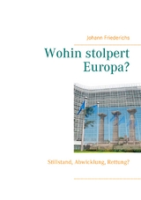 Wohin stolpert Europa? - Johann Friederichs