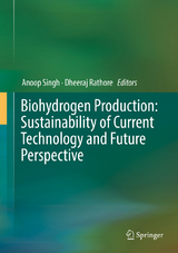 Biohydrogen Production: Sustainability of Current Technology and Future Perspective - 