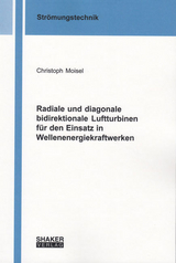 Radiale und diagonale bidirektionale Luftturbinen für den Einsatz in Wellenenergiekraftwerken - Christoph Moisel