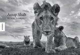 Anup Shah – Die letzten Tiere der Mara - Anup Shah
