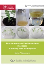 Untersuchungen zur Polyinbiosynthese in Apiaceae: Etablierung eines Modellsystems - Marion Wiggermann