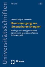 Stromerzeugung aus 'Erneuerbaren Energien' - Daniel Callejon Thömmes