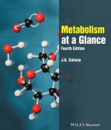 Metabolism at a Glance - Salway, J. G.