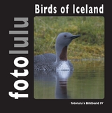 Birds of Iceland -  fotolulu