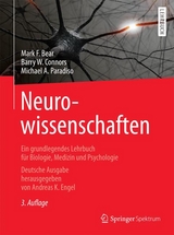 Neurowissenschaften - Bear, Mark F.; Engel, Andreas K.; Connors, Barry W.; Paradiso, Michael A.