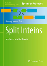 Split Inteins - 