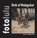 Birds of Madagaskar -  fotolulu