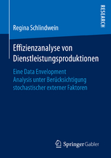Effizienzanalyse von Dienstleistungsproduktionen - Regina Schlindwein