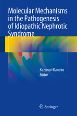 Molecular Mechanisms in the Pathogenesis of Idiopathic Nephrotic Syndrome - 