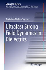 Ultrafast Strong Field Dynamics in Dielectrics - Annkatrin Madlen Sommer