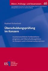 Überschuldungsprüfung im Konzern - Raphael Eichenlaub