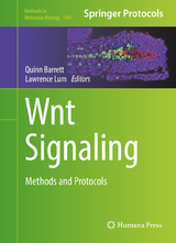 Wnt Signaling - 