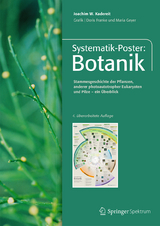 Systematik-Poster: Botanik - Kadereit, Joachim W.