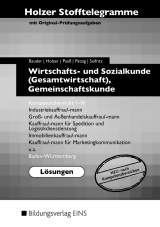 Holzer Stofftelegramme Baden-Württemberg / Holzer Stofftelegramme Baden-Württemberg - Wirtschafts- und Sozialkunde (Gesamtwirtschaft), Gemeinschaftskunde - Kathrin Bauder, Markus Bauder, Volker Holzer, Thomas Paaß, Ulrich Patzig, Christian Seifritz