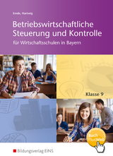 Betriebswirtschaftliche Steuerung und Kontrolle für Wirtschaftsschulen in Bayern - Mathias Emde, Herbert Hartwig