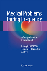 Medical Problems During Pregnancy - 